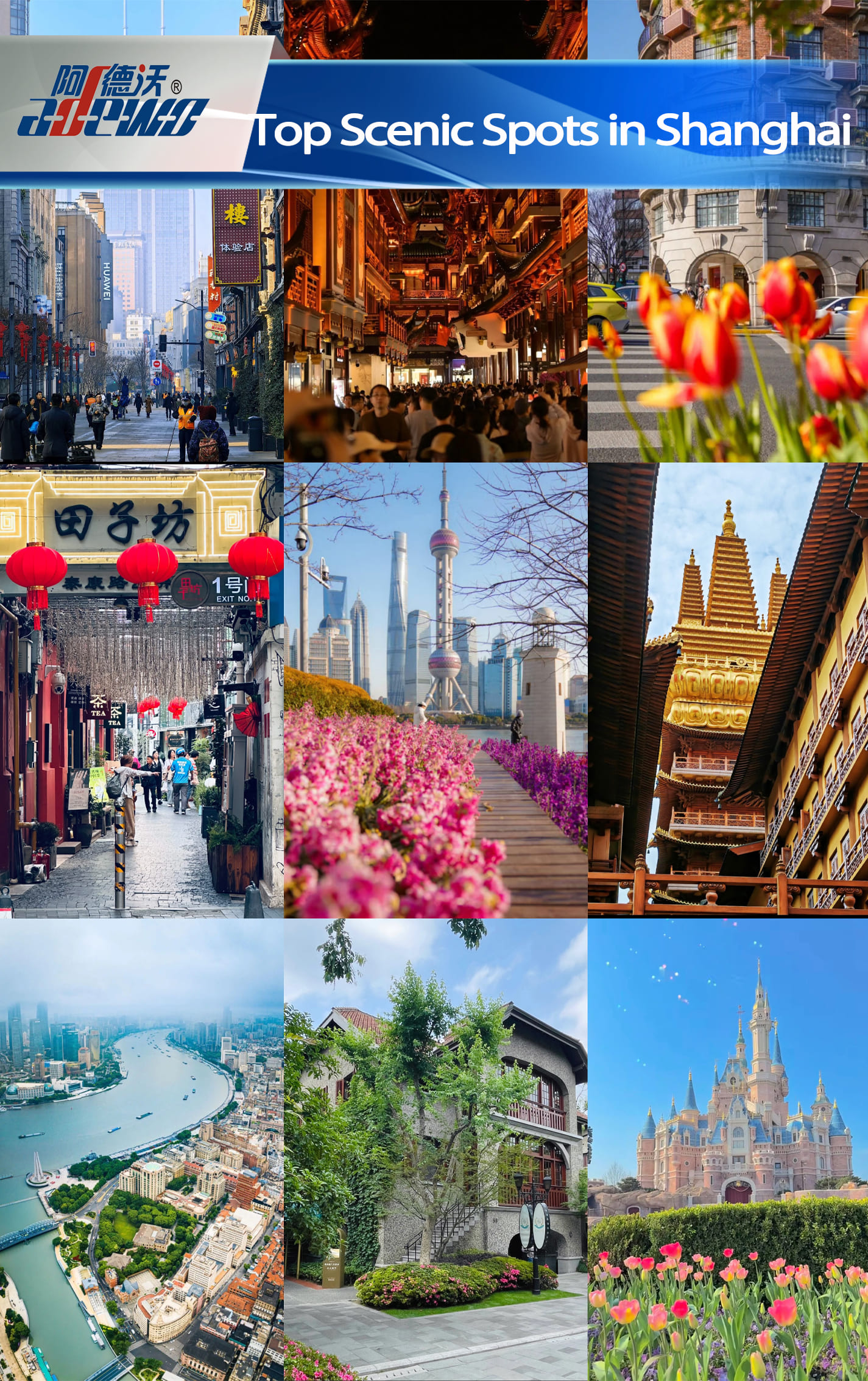 Shanghai-ko lekuak